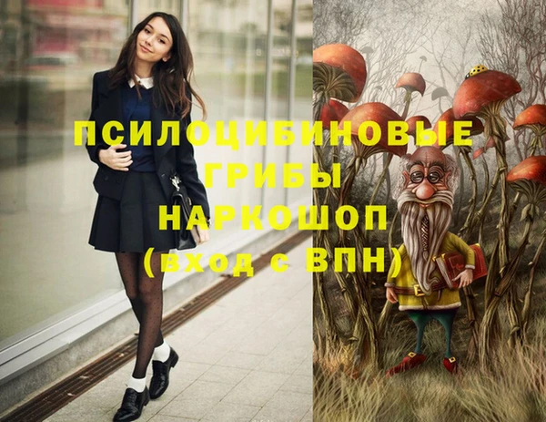 Альфа ПВП Абаза